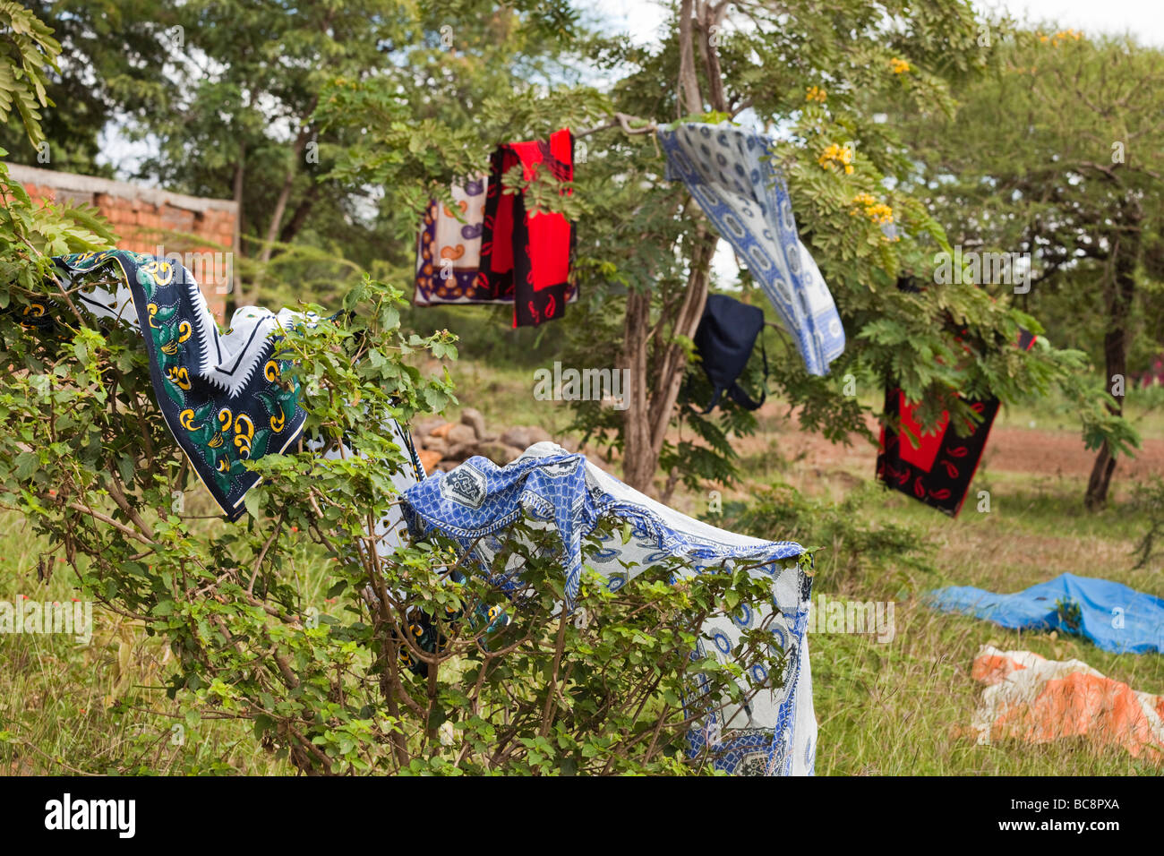 Wäsche trocknen auf Büschen. Kikwe Dorf Arumeru Distrikt Arusha Tansania Stockfoto