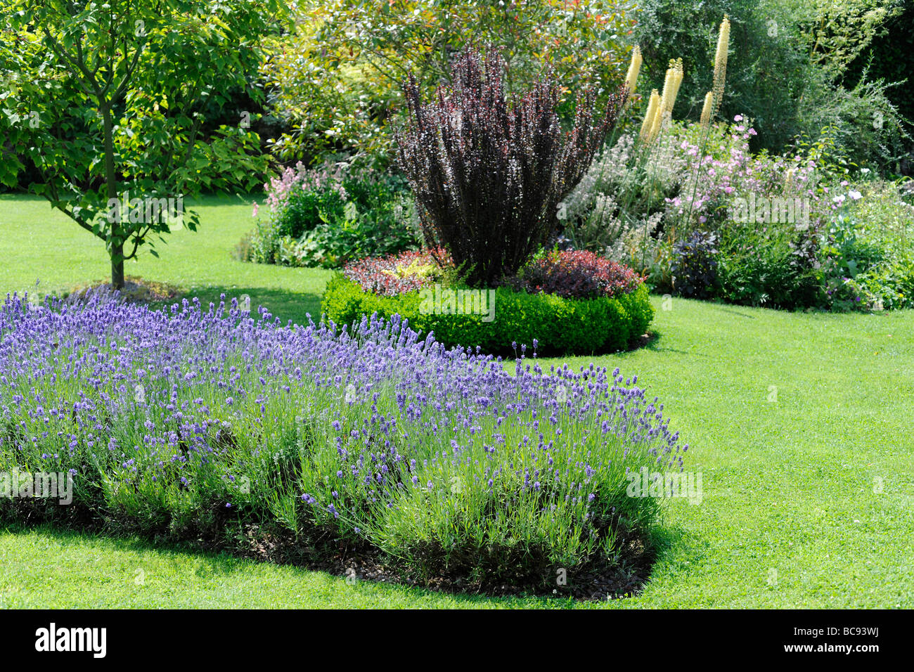 Englischen Landschaftsgarten im Stoberry Park, Somerset, Großbritannien Stockfoto