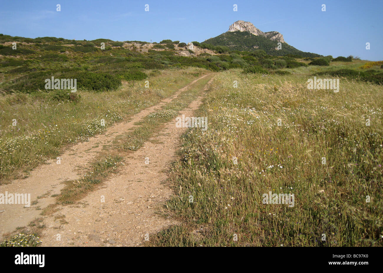 Sardinien-Feldweg auf Nord-Ost-Mantel Stockfoto