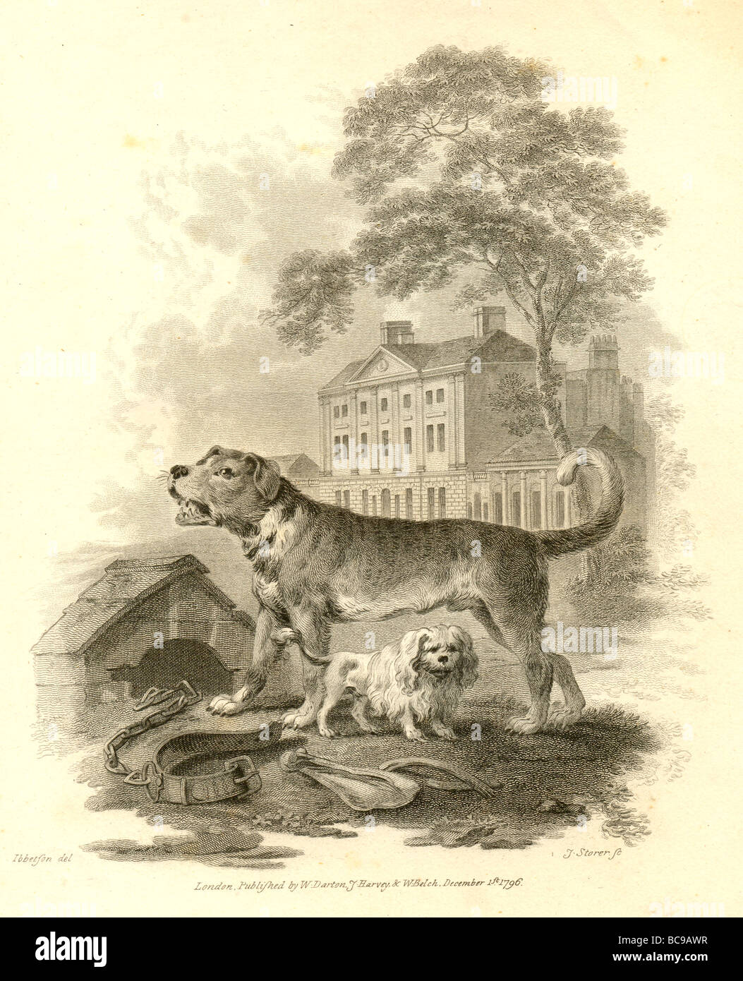 Gravur von Mastiff und Löwe-Hund 1796 Stockfoto