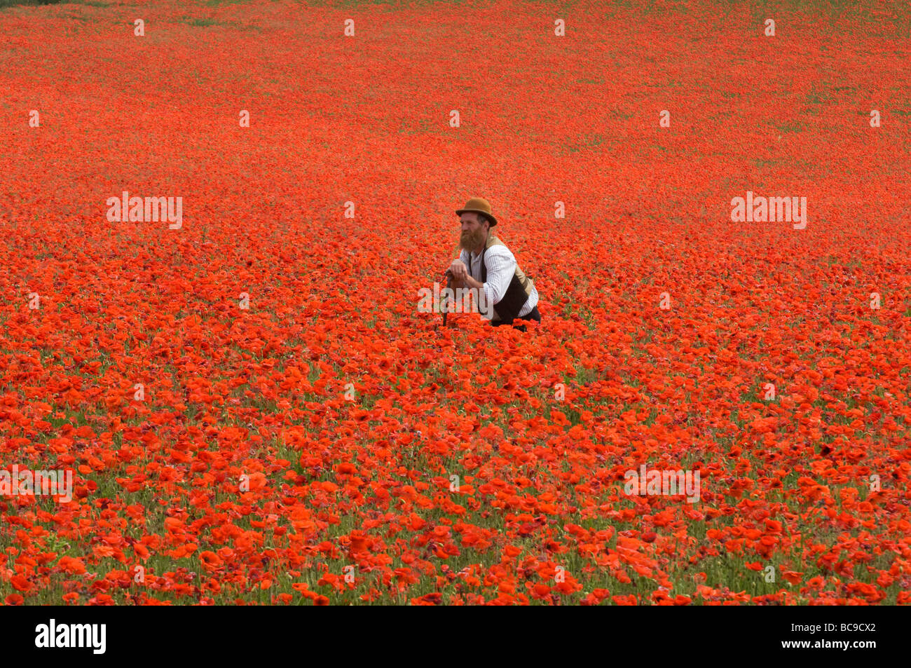 Ein Landwirt in einem Feld von Mohnblumen auf den South Downs in Sussex, England. Die Blüten sind eine Flamme von Scarlet an einem heißen Junitag. Stockfoto