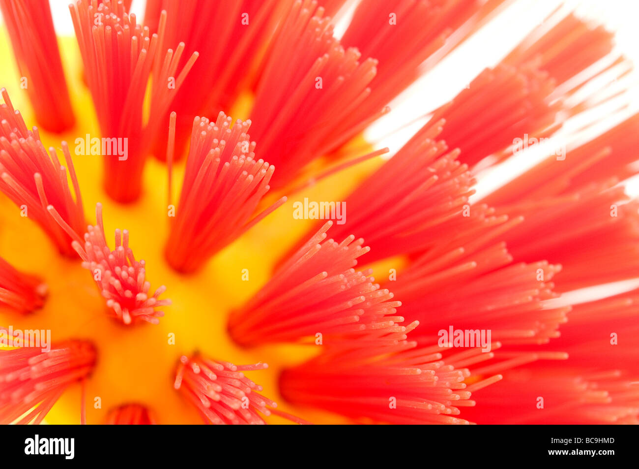 Makro einige synthetische farbigen Borsten Stockfoto