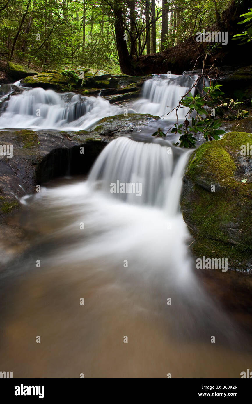 Dieser Bereich ist am Wegesrand Bartram auf Martin Creek außerhalb Clayton, Georgia.  Marting Creek ist landschaftlich sehr reizvoll und enthält viele Szenen wie diese. Stockfoto