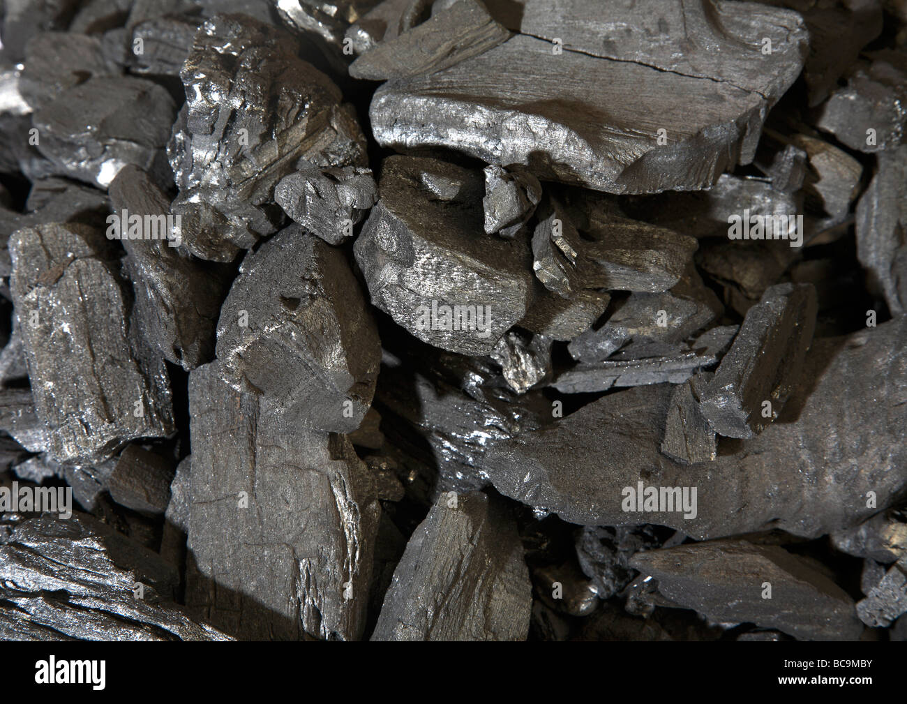 Pflanzenkohle Stockfoto