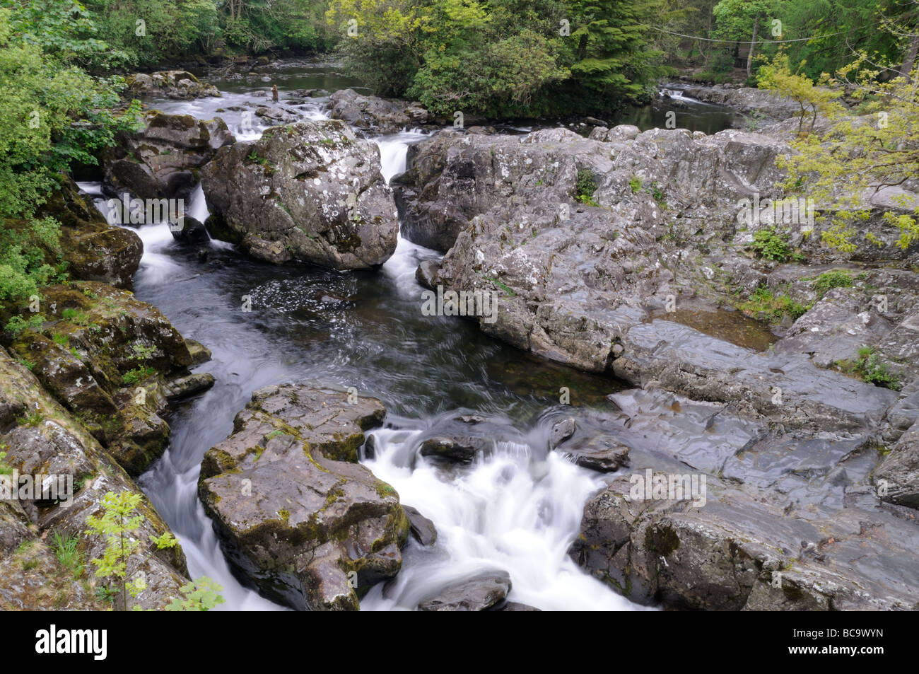 Fluss Llugwy North wales UK Mai Stockfoto