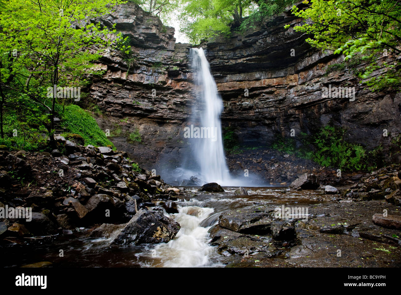 Hardraw Kraft angeblich Englands höchste Freefall Wasserfall obere Wensleydale Yorkshire Dales National Park Stockfoto