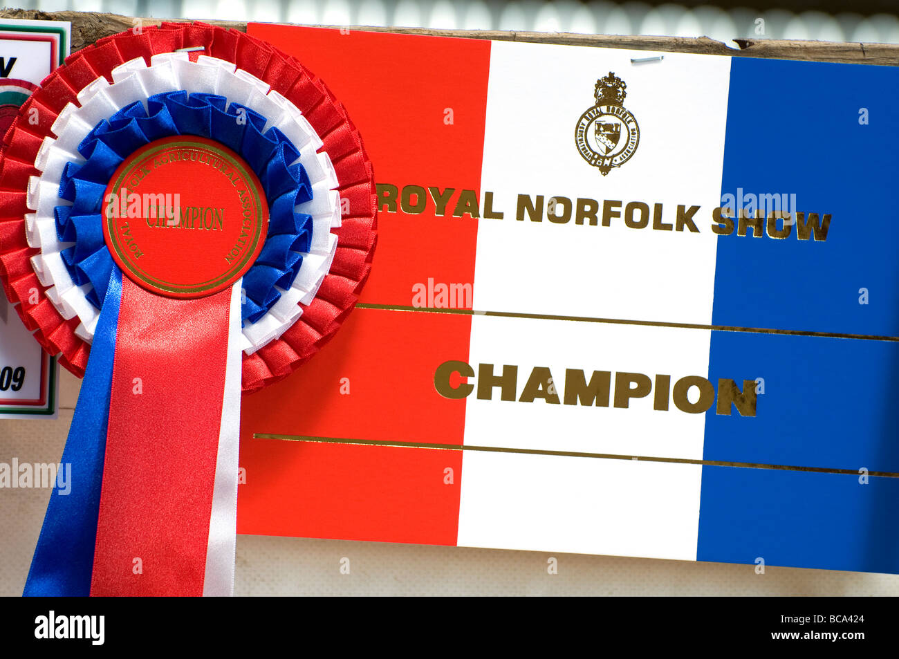 Royal Norfolk zeigen Meister rosette Display Card Stockfoto