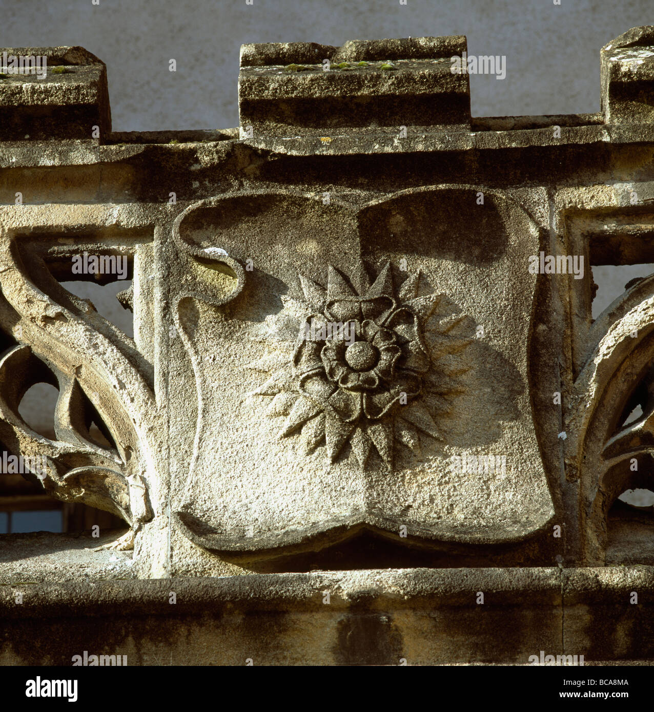 Wells Tudor-Rose Stockfoto