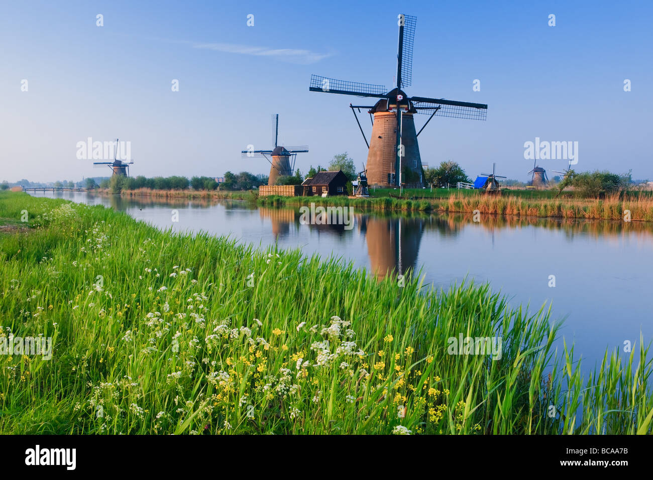 Windmühlen in Kinderdijk, Niederlande Stockfoto