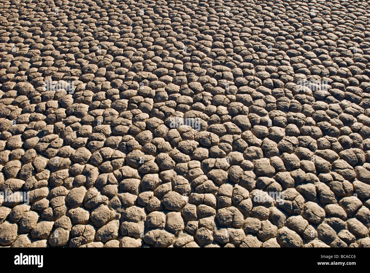 Trockenen Schlamm Muster auf der Rennstrecke im Death Valley. Stockfoto