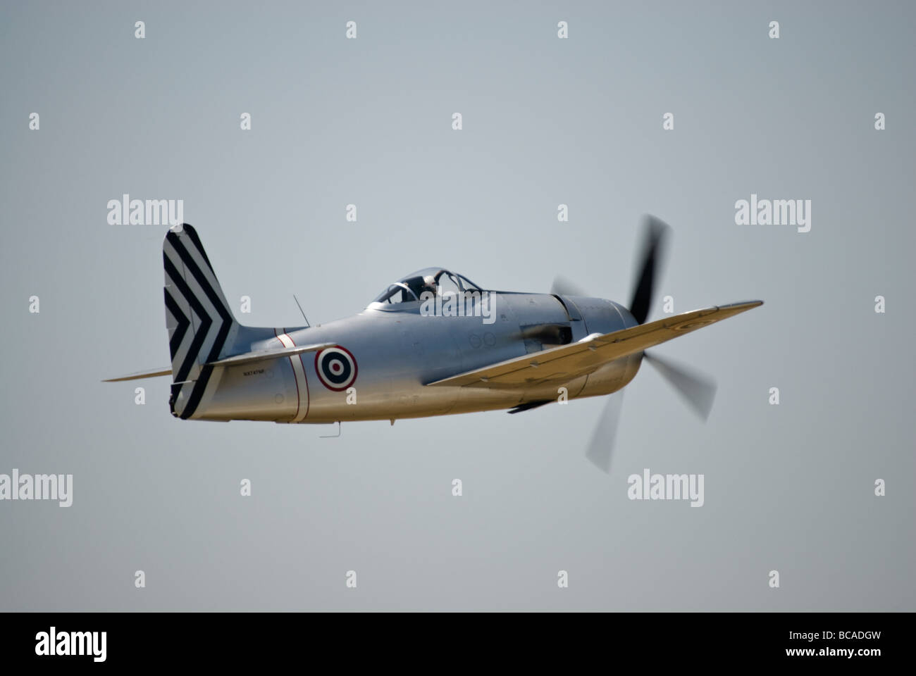 Eine Grumman F8F Bearcat fliegt auf einer Flugshow. (Französische Luftwaffe Markierungen) Stockfoto