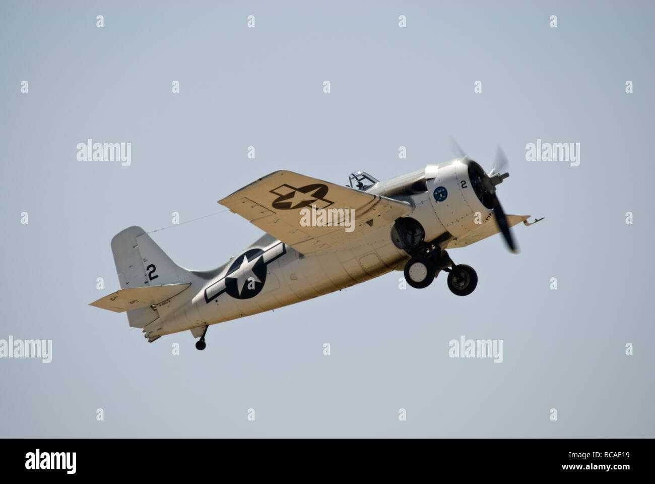 Eine Grumman F4F Wildcat nur nach dem Start an einer Flugshow. (Gang nach unten) Stockfoto