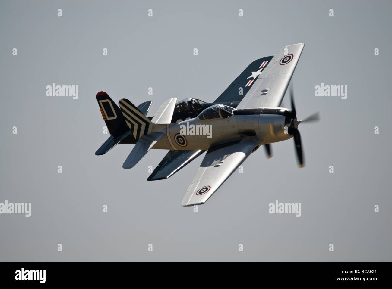 Zwei Grumman F8F Bearcats fliegen in Formation bei einer Flugshow. Stockfoto