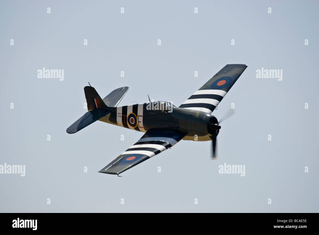 Eine Grumman F6F Hellcat fliegt auf einer Flugshow. Stockfoto