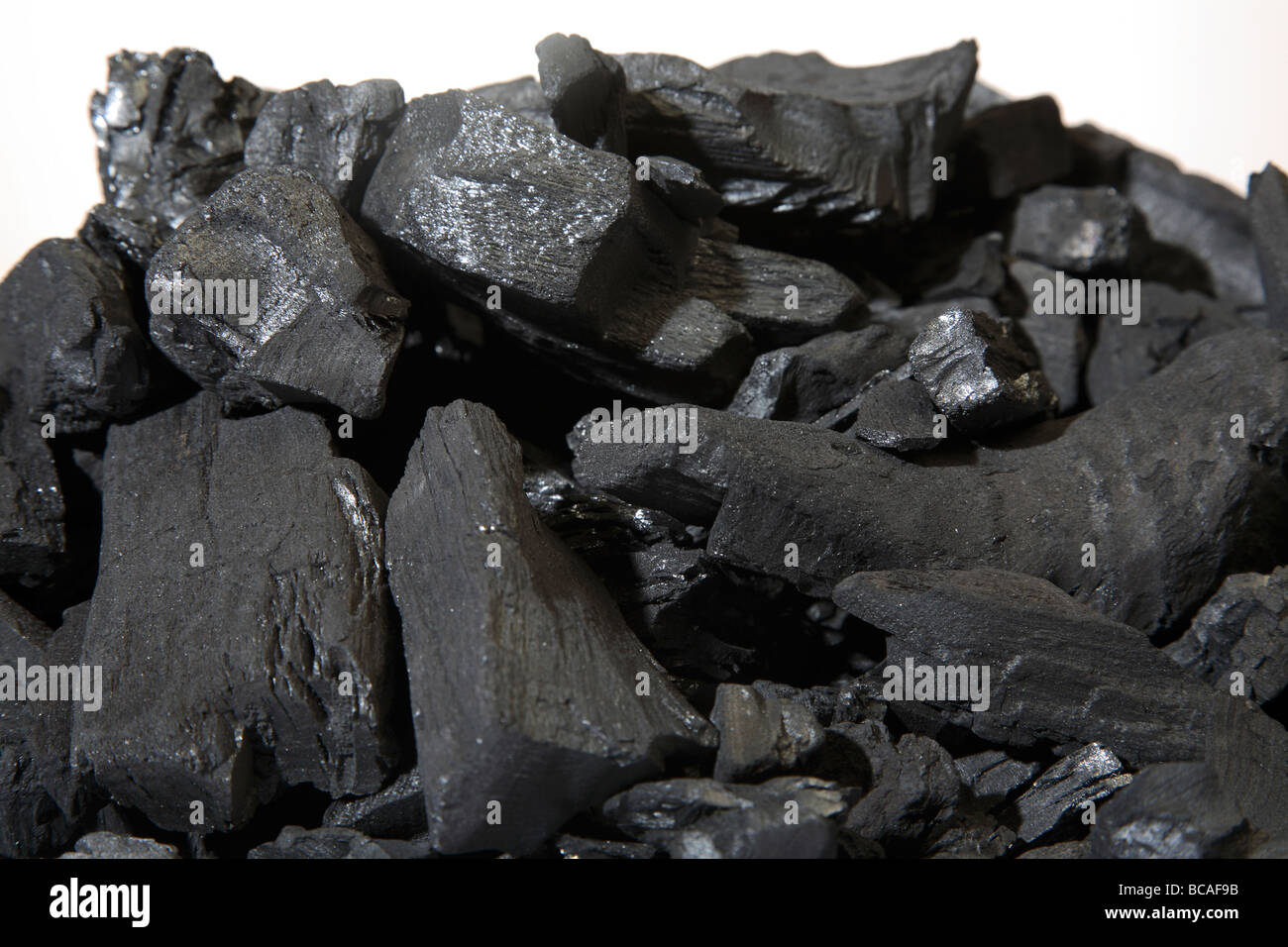 Pflanzenkohle Stockfoto