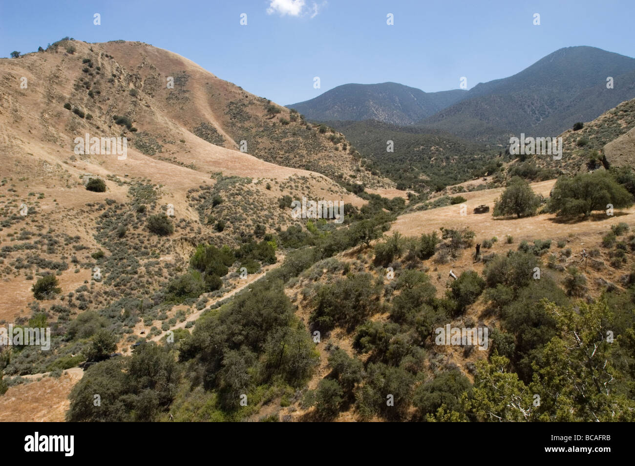 Pleito Canyon in den Wind Wölfen bewahren. Stockfoto