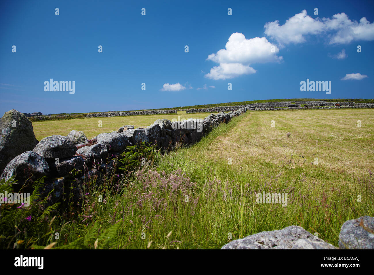 Trocknen Sie Steinwand in der Nähe von Morvah in Cornwall, England, UK Stockfoto