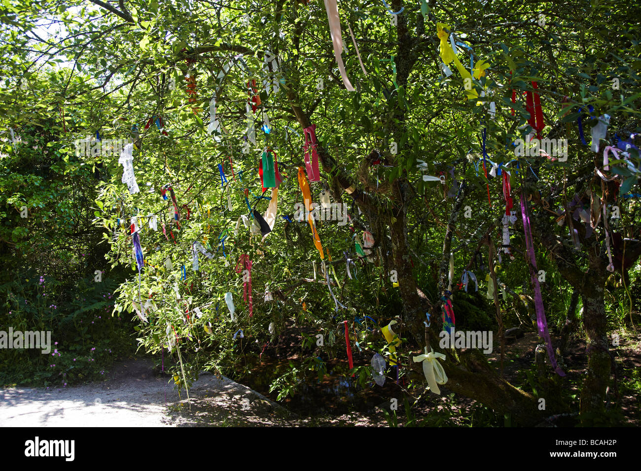 Celtic grove cornish heilige site Fotos und Bildmaterial in hoher