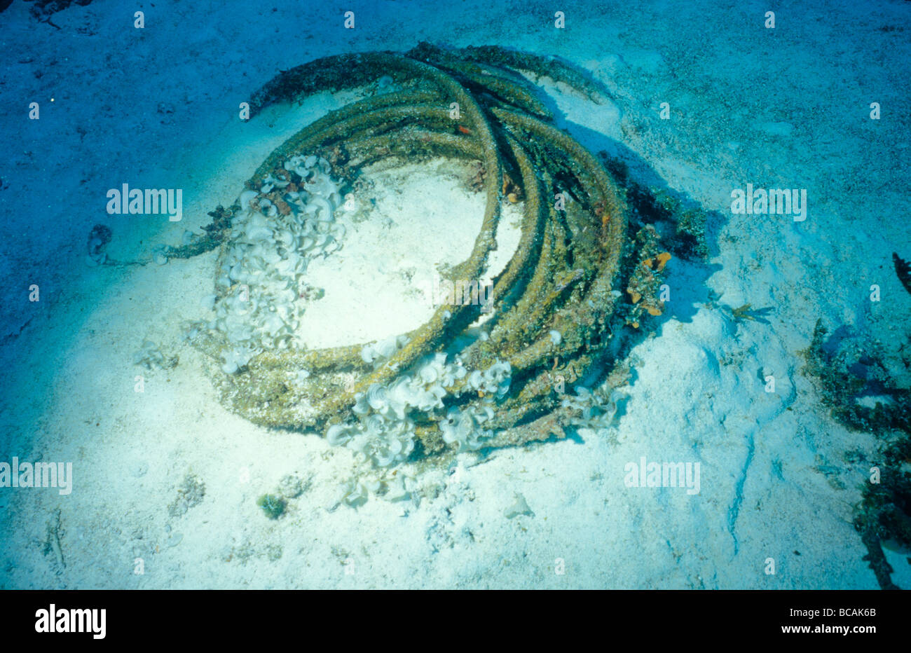 Eine Rolle von ausrangierten Metallseil rosten auf dem Meeresboden. Stockfoto