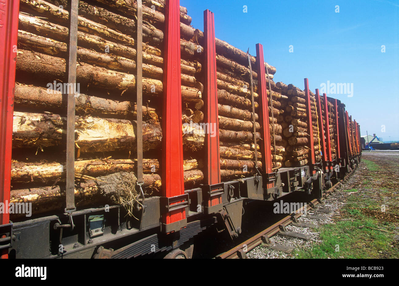 Holz auf einen Zug in Richtung zu einer Zellstofffabrik UK Stockfoto