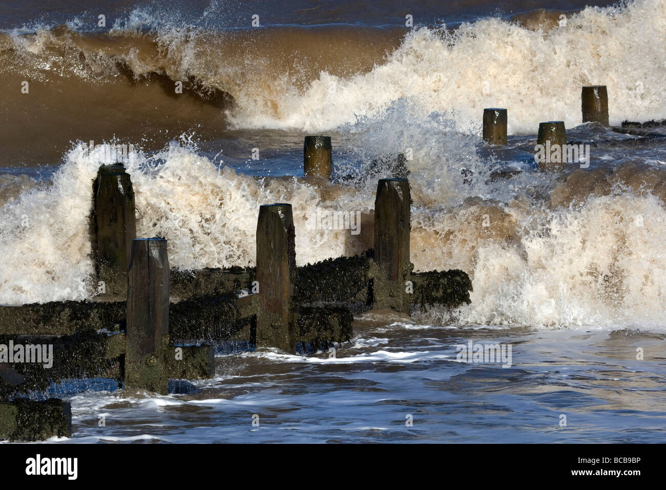 Brechenden Wellen rund um die Buhnen, Walcott, Norfolk Stockfoto