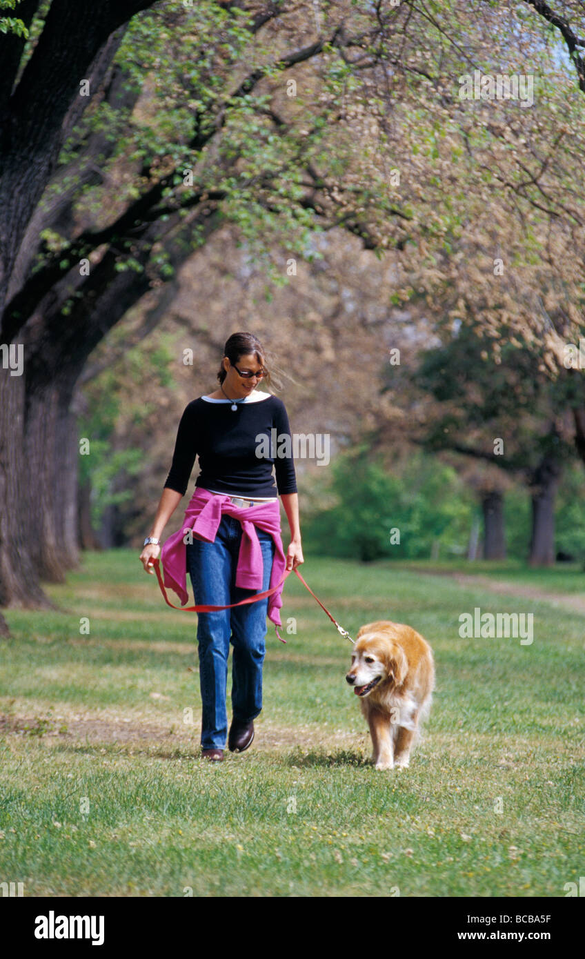 Eine Frau, ihr Golden Retriever Hund an der Leine in einem Park. Stockfoto