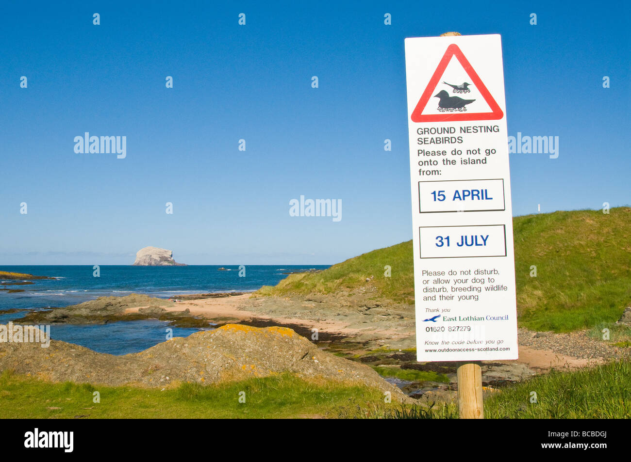 Ein Schild Warnung vor Boden brütende Vögel, Wanderer aus dem Bereich, in North Berwick, Schottland bleiben Fragen Stockfoto