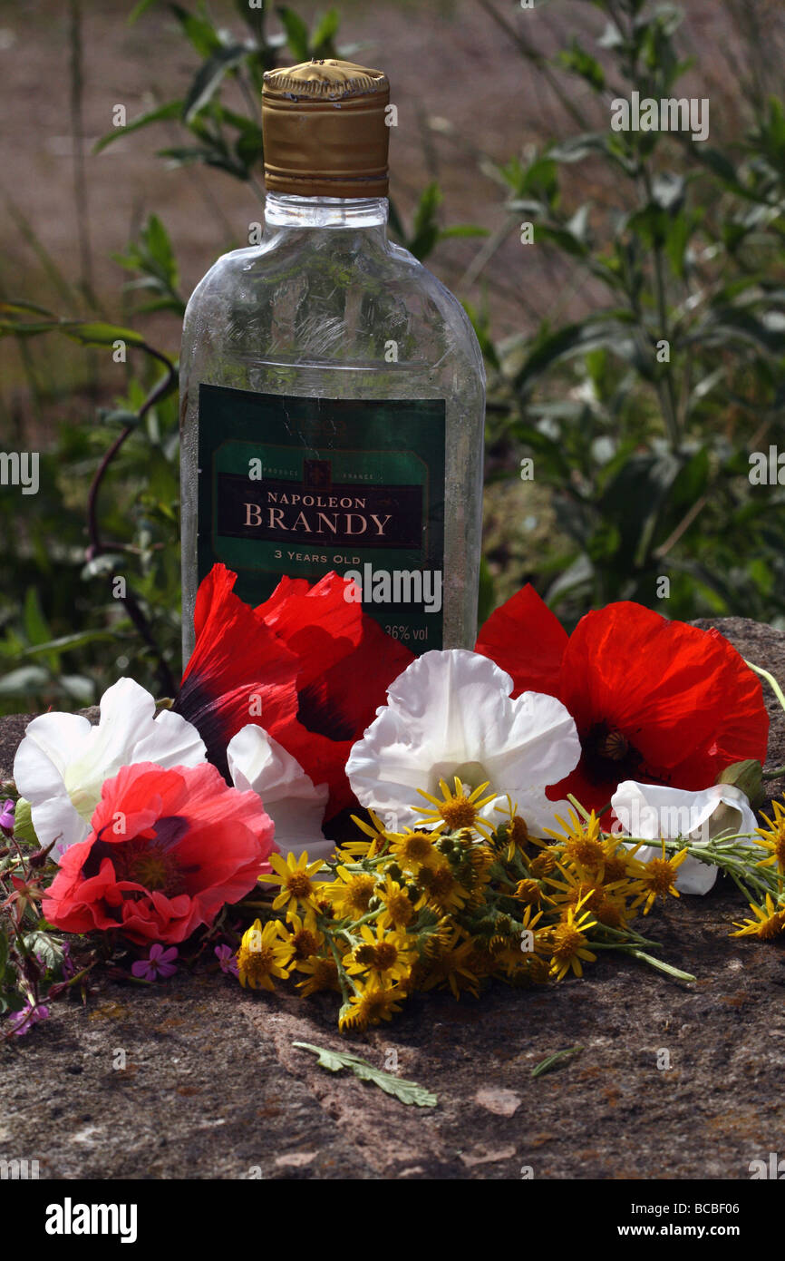 Zusammengesetztes Bild Darstellung Alkoholismus verworfen Flasche gefunden unter wilden Blumen der Hecke Stockfoto