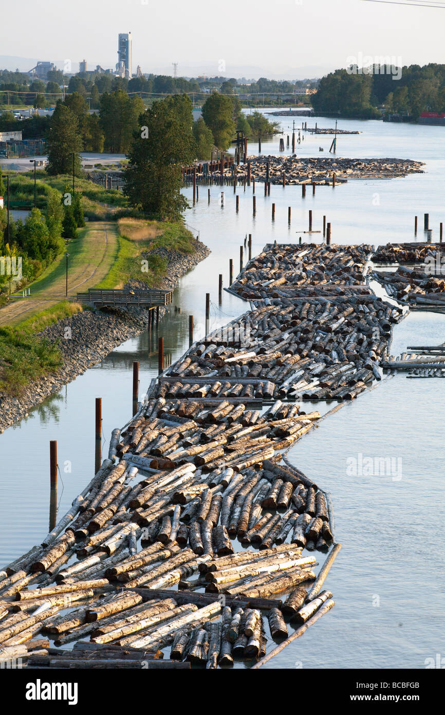 Protokolle, schwebend in Fraser River, New Westminster, British Columbia, Kanada Stockfoto