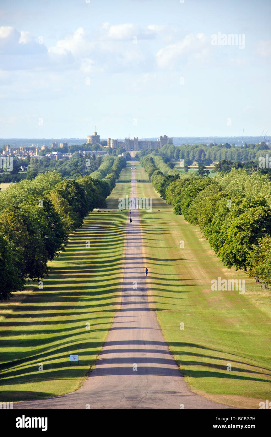 Die langen Spaziergang, Windsor Great Park, Windsor, Berkshire, England, Vereinigtes Königreich Stockfoto