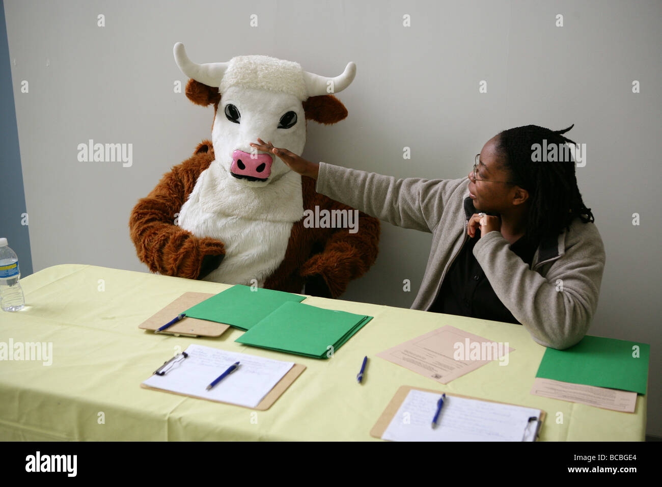 Eine Frau, gekleidet in eine Kuh-Kostüm bei einer Schulveranstaltung, gesundes Mittagessen essen von Schülern in der Schule zu fördern. New Haven CT USA Stockfoto