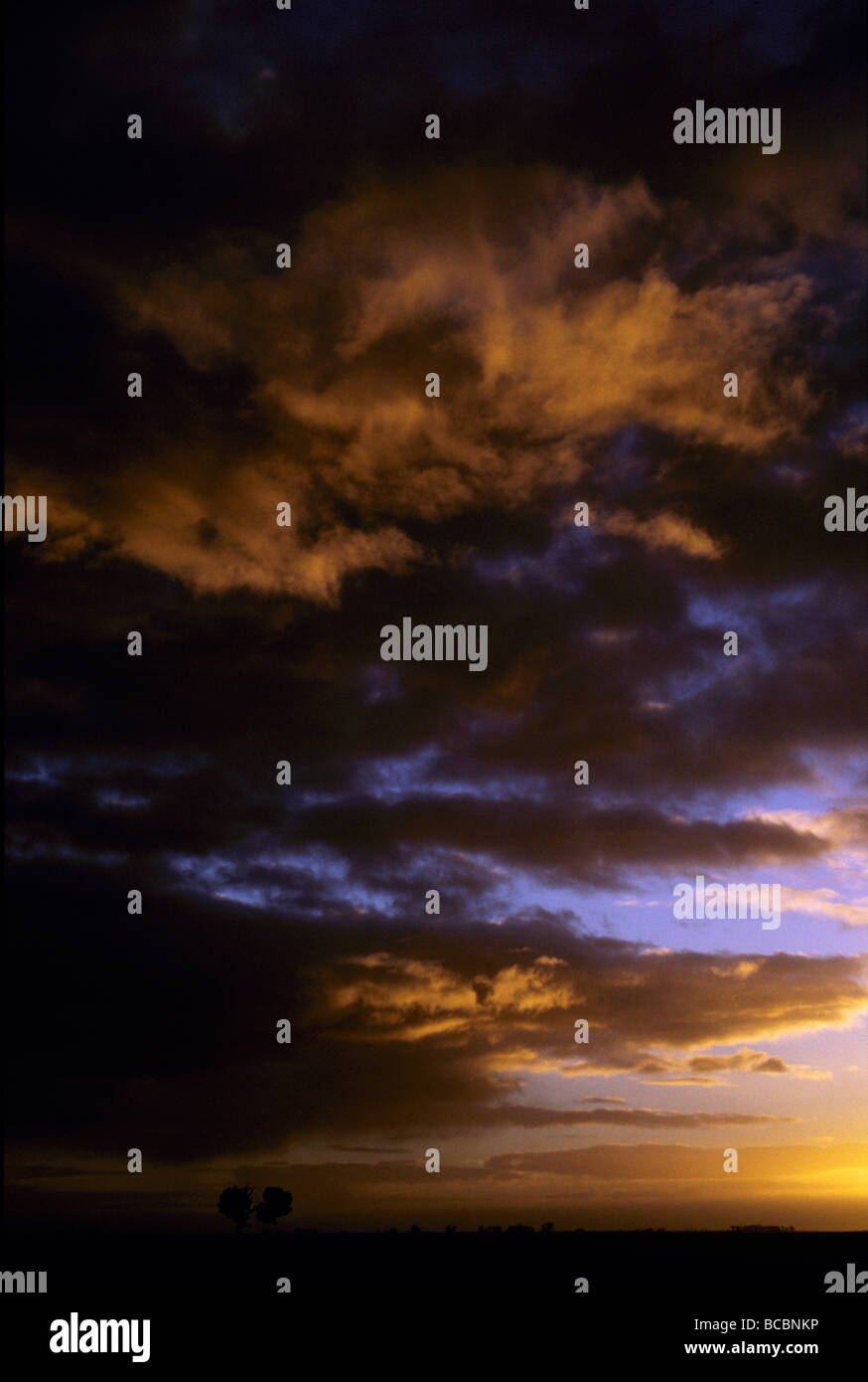 Orange Wolkenformationen bei Sonnenuntergang über ein Feld und einen einzigen Baum. Stockfoto