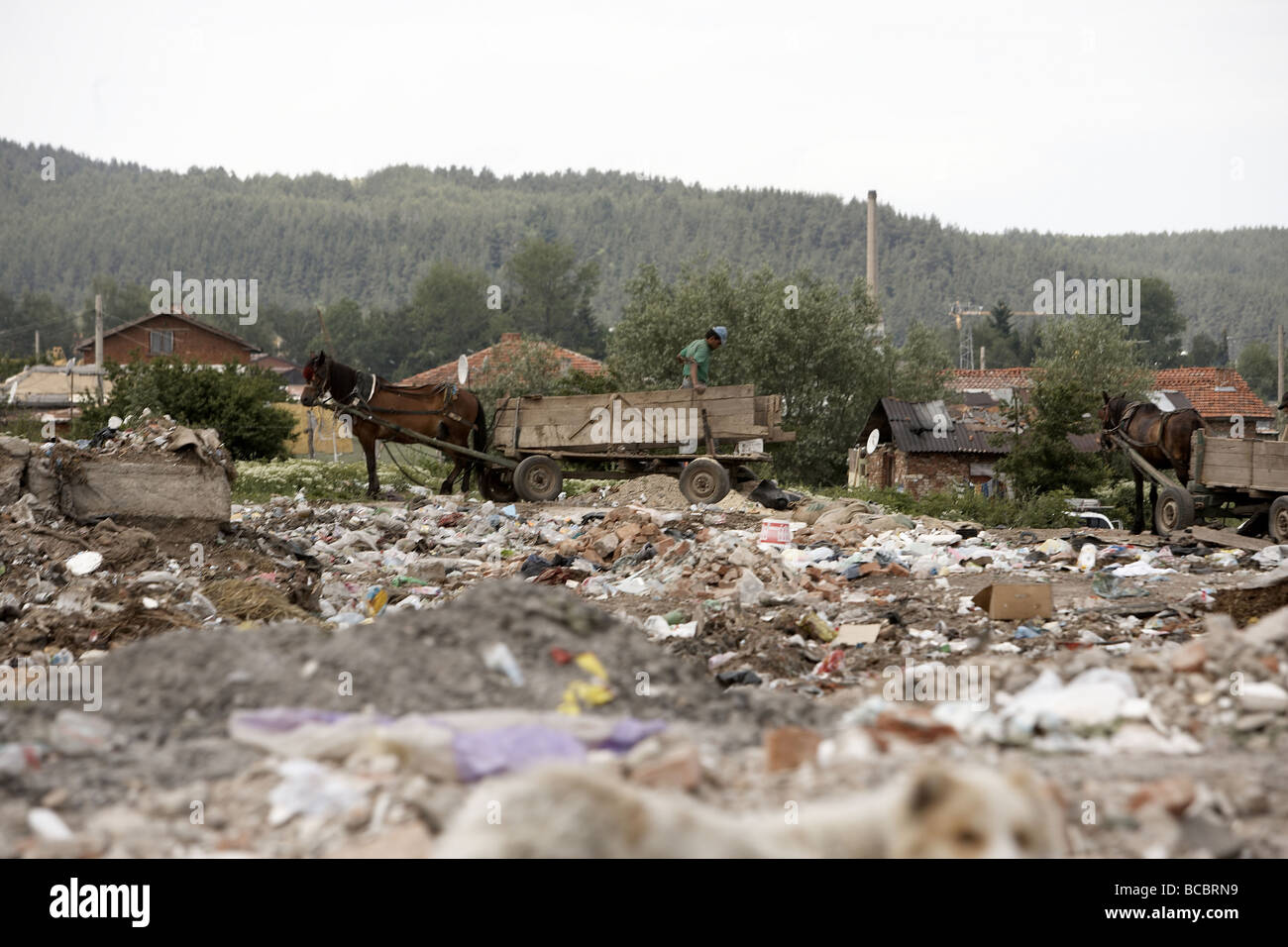 Aufräumvorgang für Müll mit Pferd und Wagen Samokov, Bulgarien Stockfoto