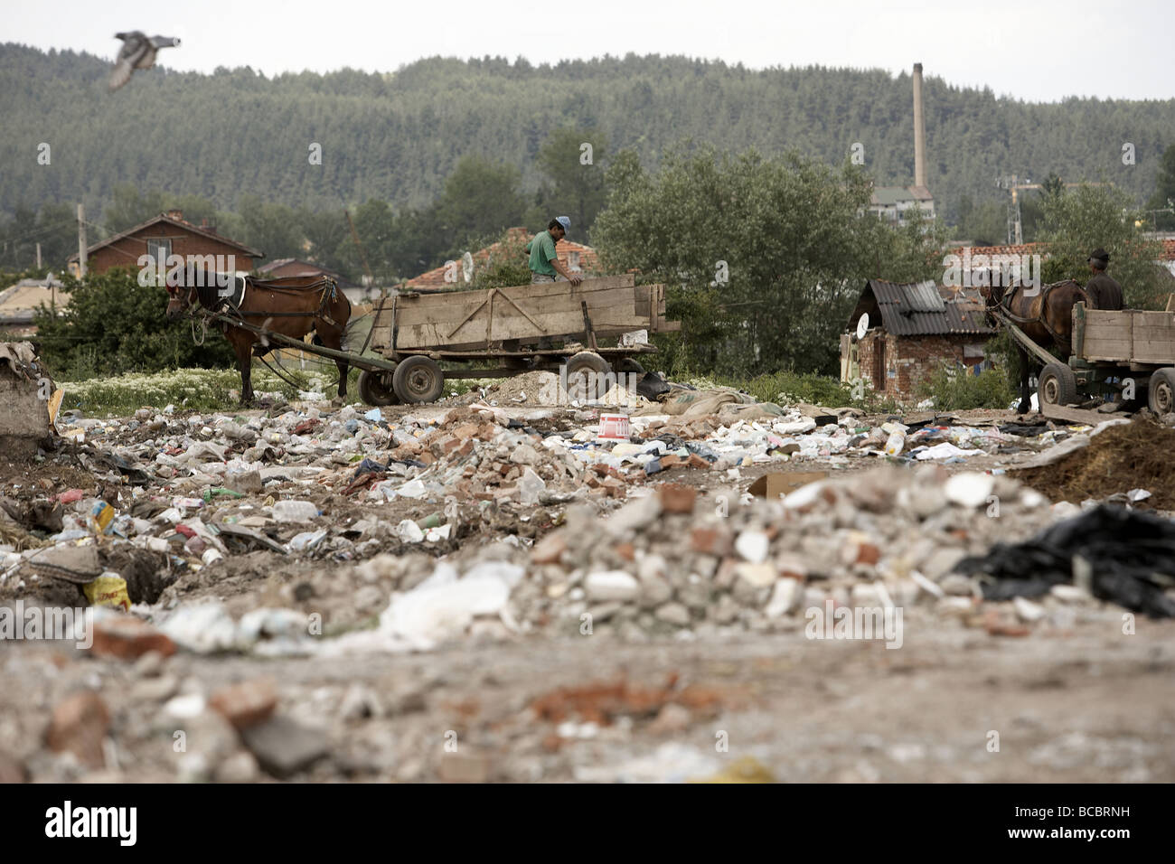 Aufräumvorgang für Müll mit Pferd und Wagen Samokov, Bulgarien Stockfoto