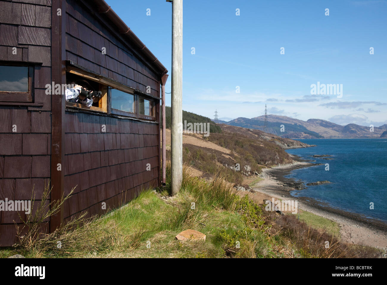 Wildbeobachtung bei Kylerhea Otter Haven, Isle Of Skye, Schottland, UK Stockfoto