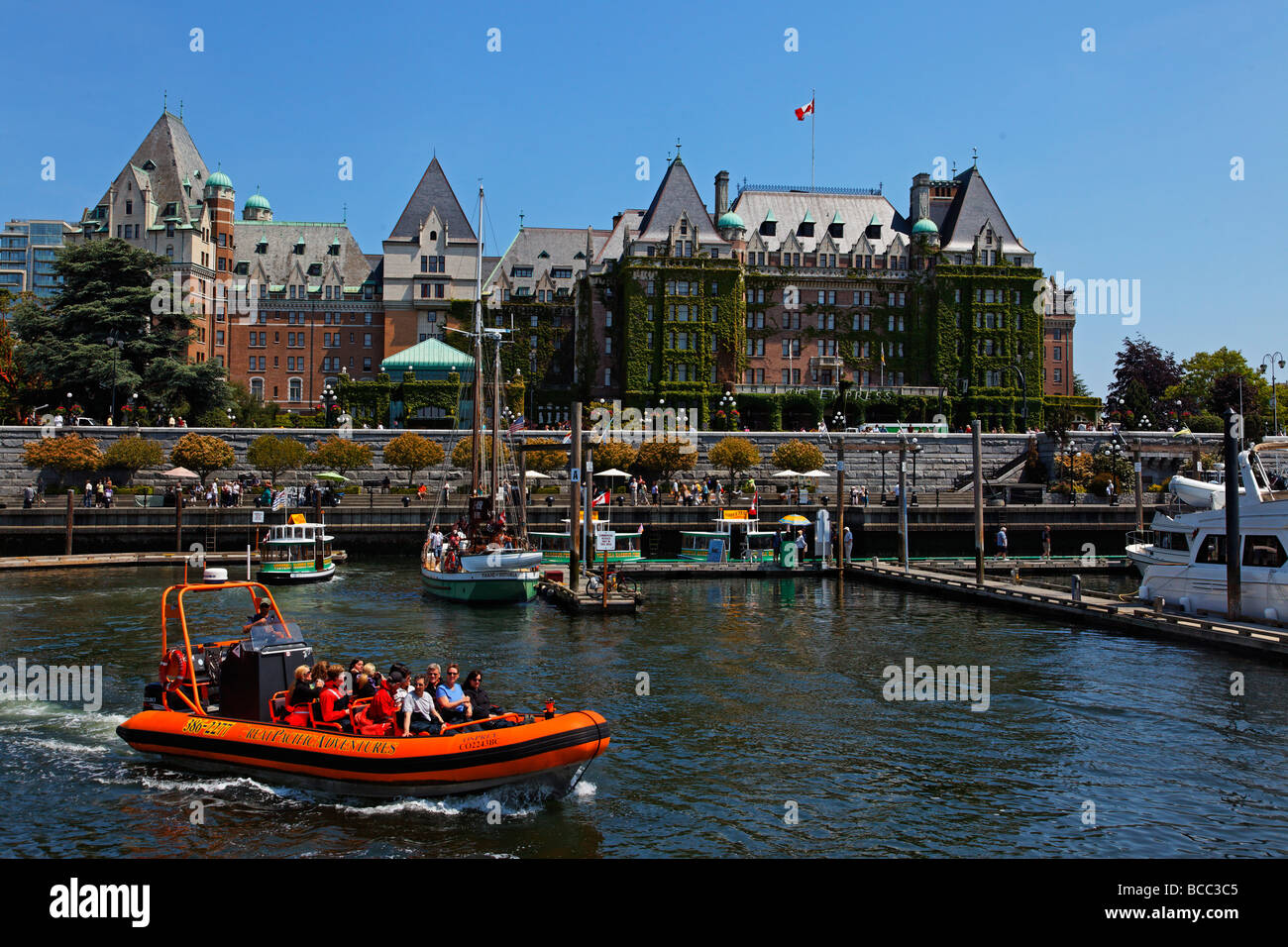 Whale-watching mit Zodiac Boote Vancouver Island Victoria Kanada Nordamerika Stockfoto