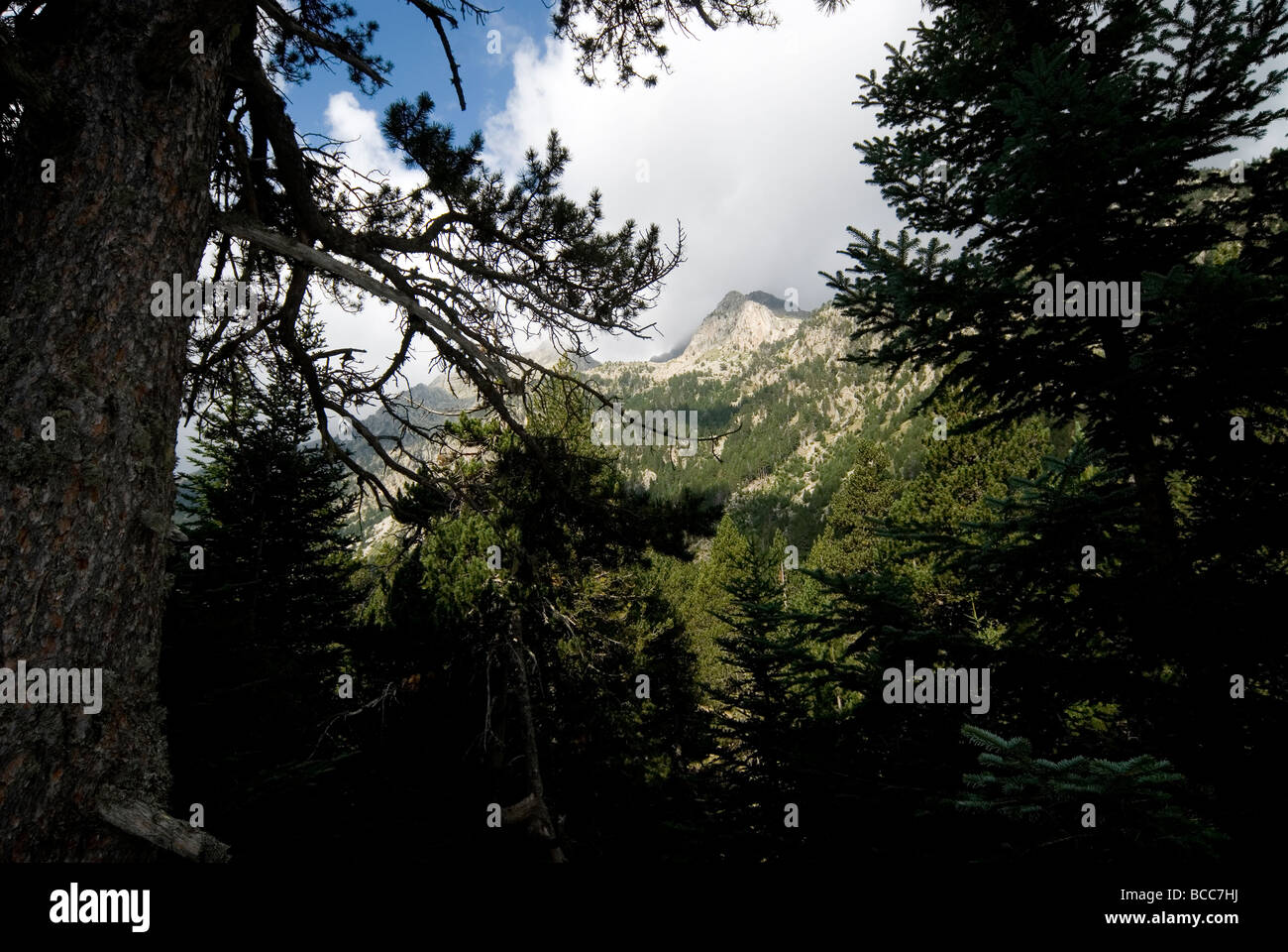 Aigüestortes-Nationalpark, Lleida, Spanien. Stockfoto