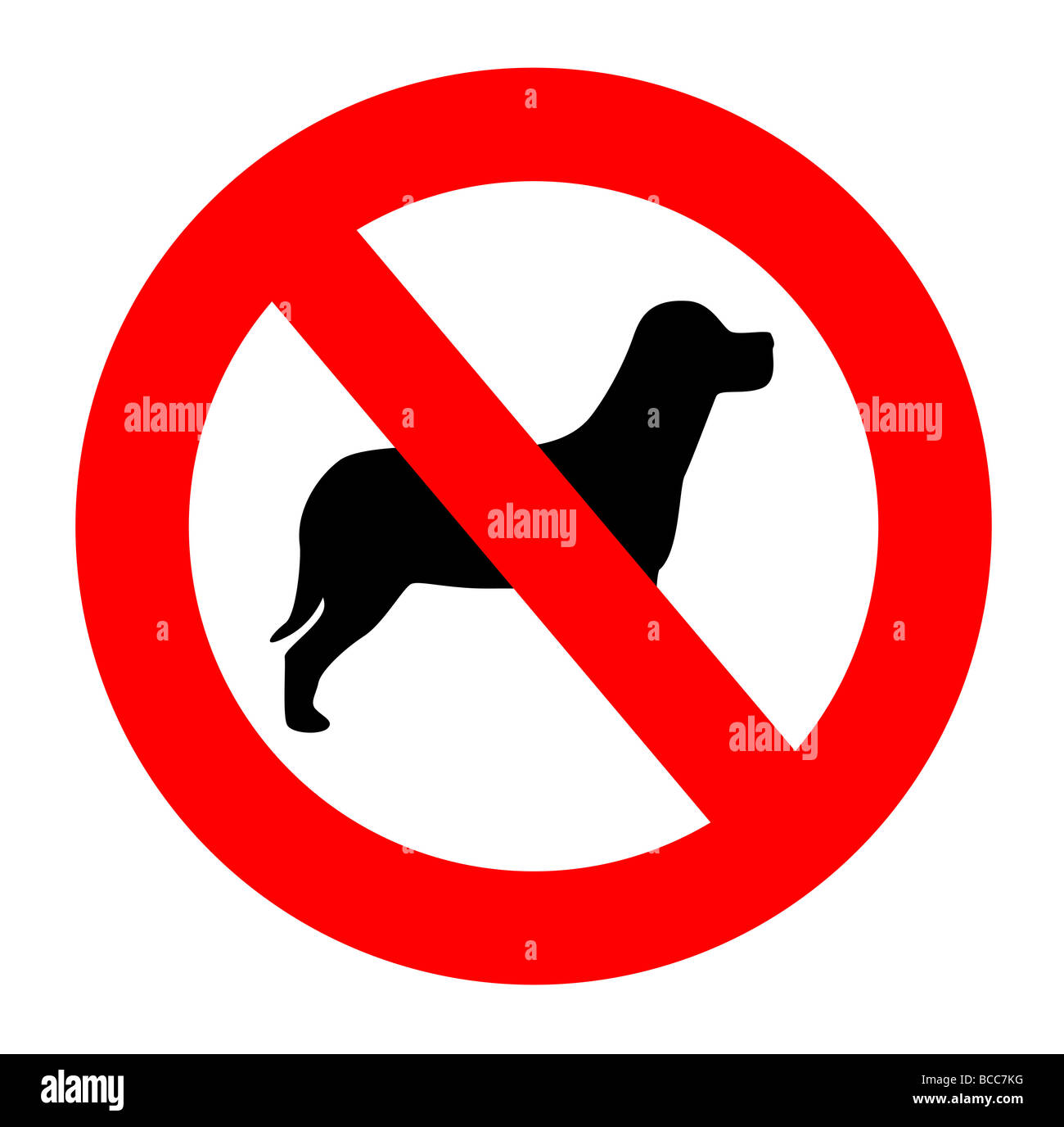 Keine Hunde melden Sie isolierten auf weißen Hintergrund Stockfoto