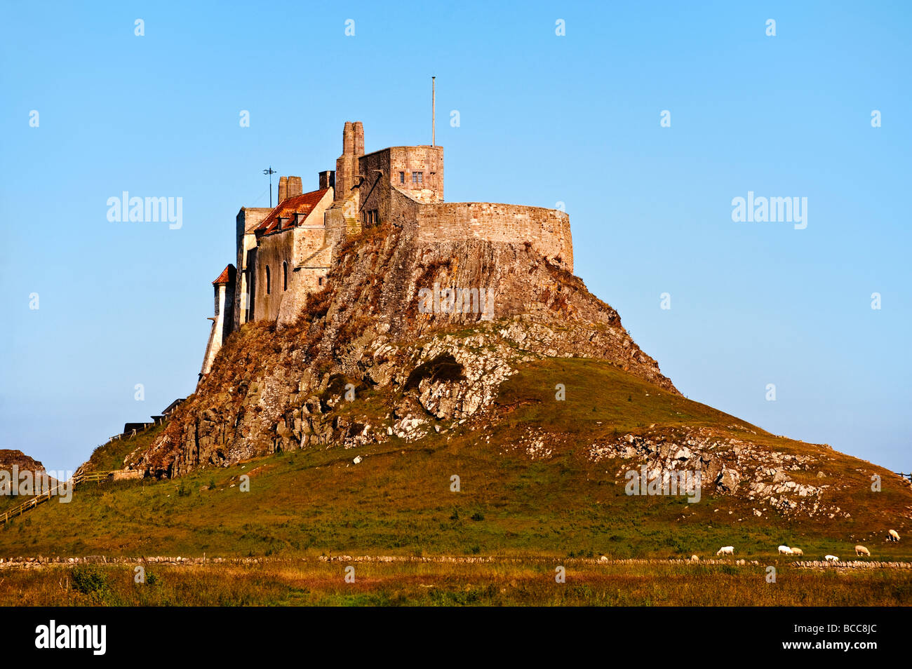 Die Burg auf Holy Island angesehen von der öffentlichen Straße aus Lindisfarne Dorf Stockfoto