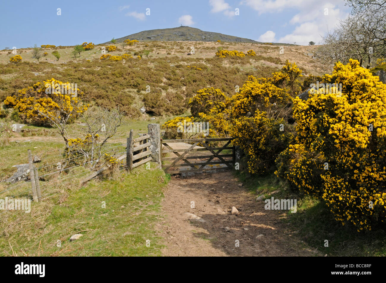 Approacjing die fernen Gipfel des Brat Tor am nordwestlichen Rand von Dartmoor, Devon Stockfoto