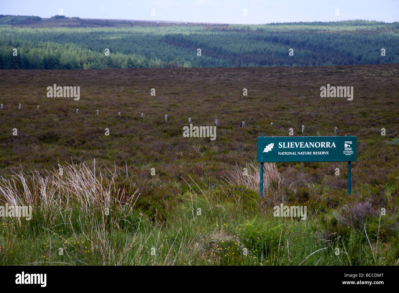 Slieveanorra nationalen Naturreservat County Antrim-Nordirland-Großbritannien Stockfoto
