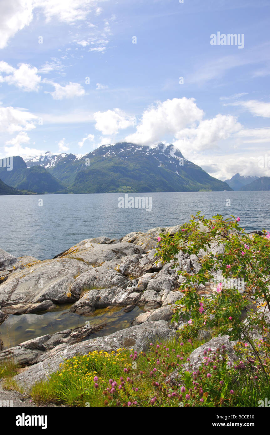 Nord-Fjord, Baustil, Sogn Og Fjordane, Norwegen Stockfoto