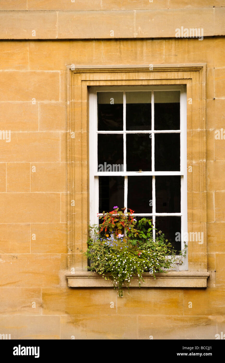 Fenster mit bunten Blumen-box Stockfoto
