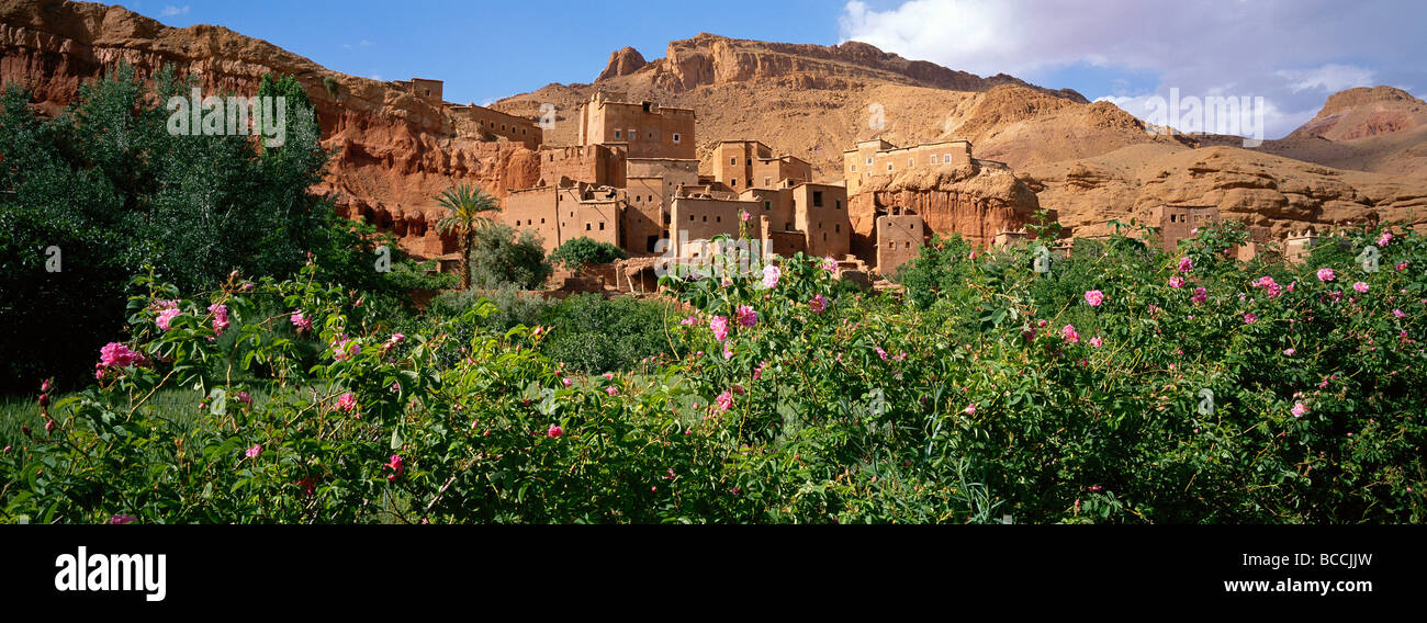 Marokko, Dades Tal, Rosen-Tal, Tourbist Stockfoto