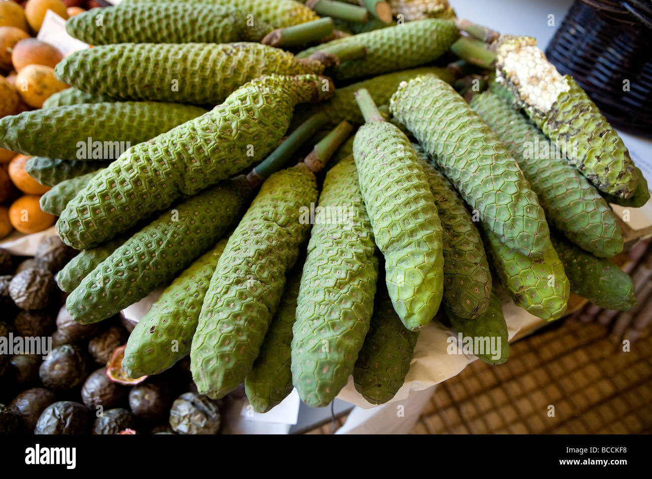 Portugal, Madeira Islands, Funchal, Monstera Deliciosa Frchte  Stockfotografie - Alamy