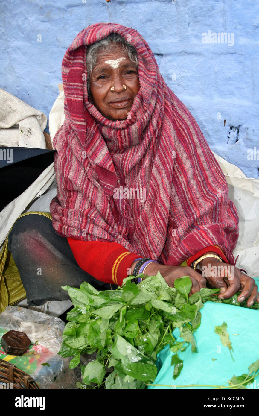 Ältere indische Frau verkaufen grün Blätter auf ihrem Marktstand, Kotagira, Tamil Nadu, Indien Stockfoto