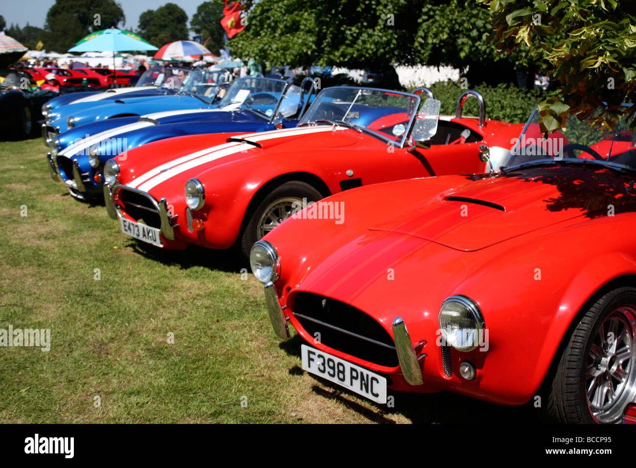 AC Cobra Replika display Stockfoto