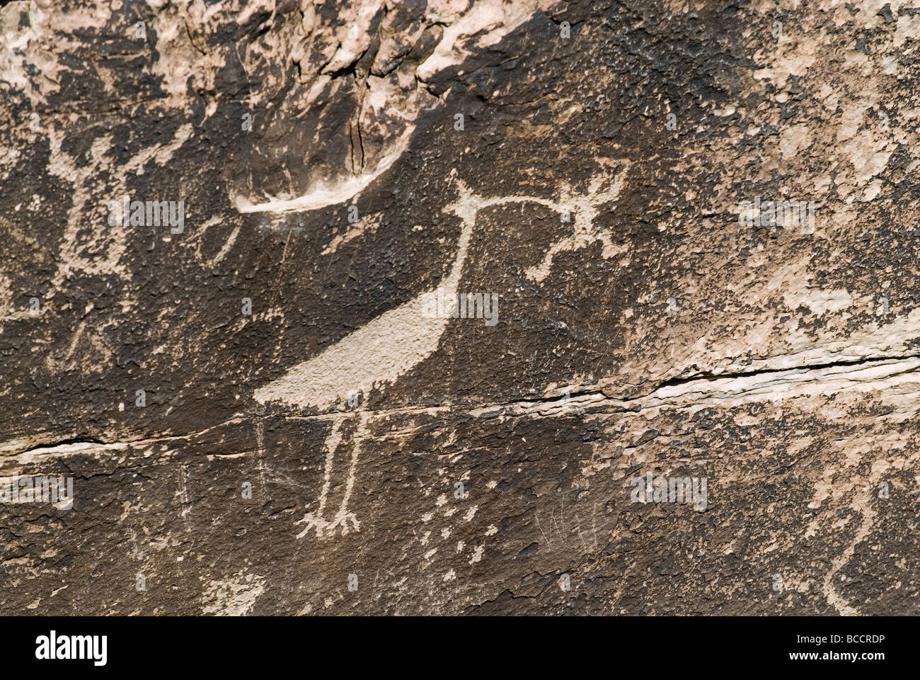 Petroglyphen von der Puerco People at Zeitung Rock. Stockfoto