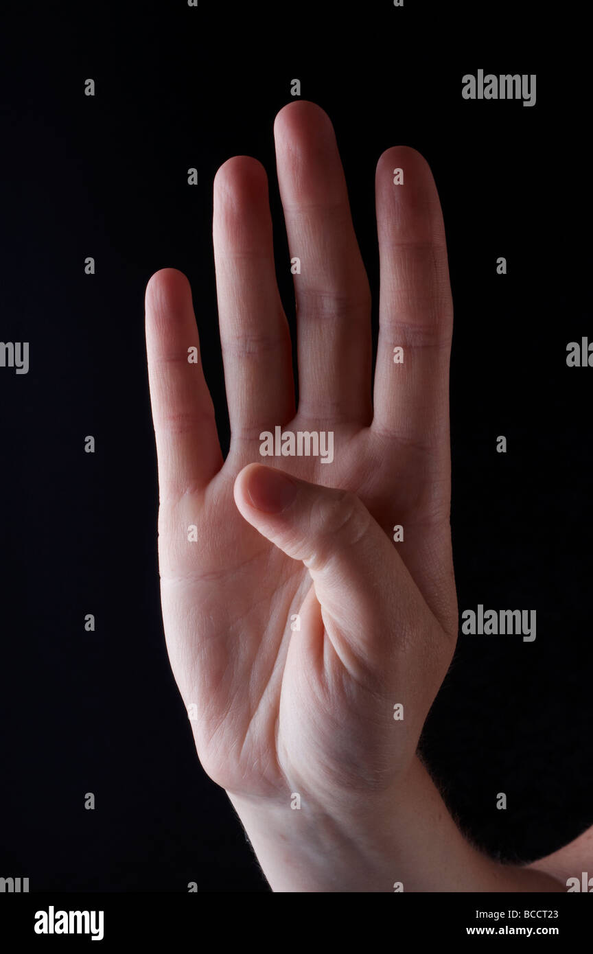 American Sign Language Buchstabe B Stockfoto
