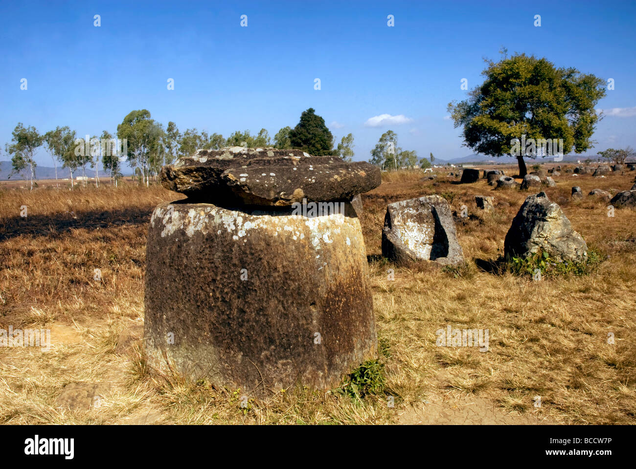 Alten Urin mit Deckel-Flugzeug von Gläsern, Laos. Stockfoto